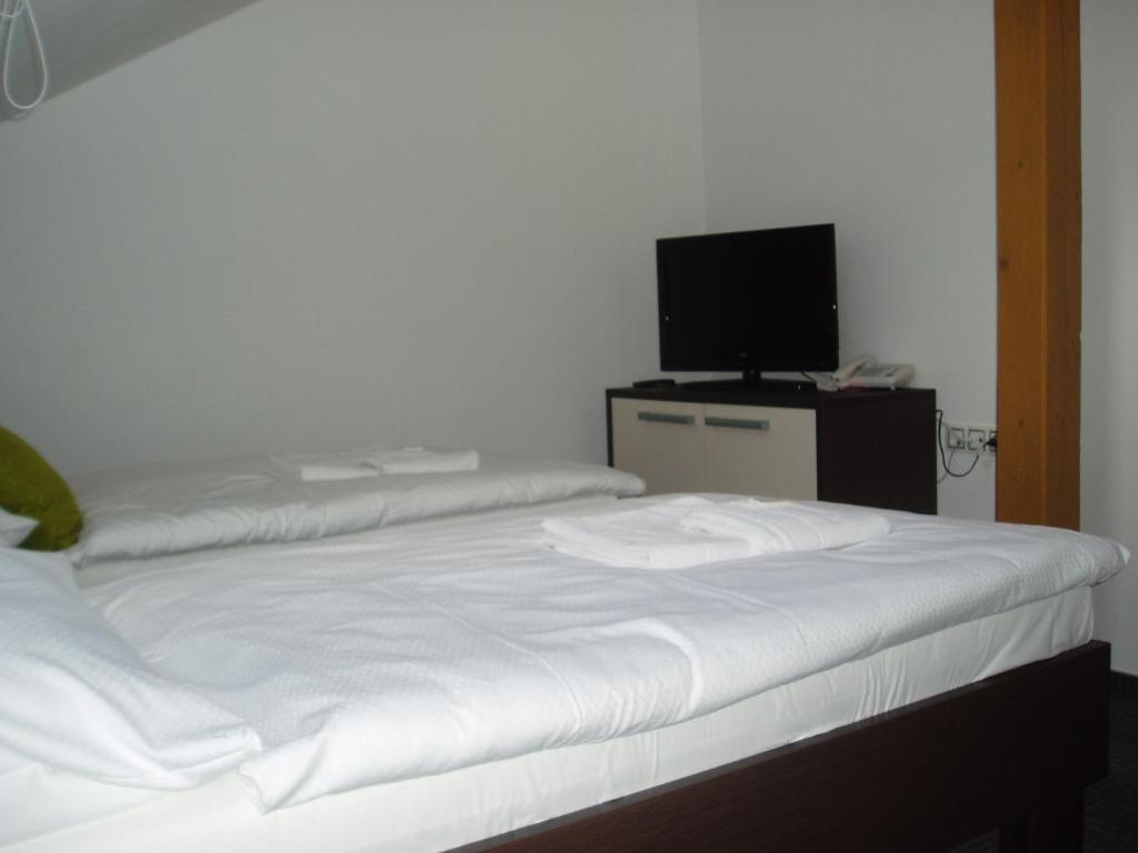 Hotel Kaskada Ledeč nad Sázavou Стая снимка